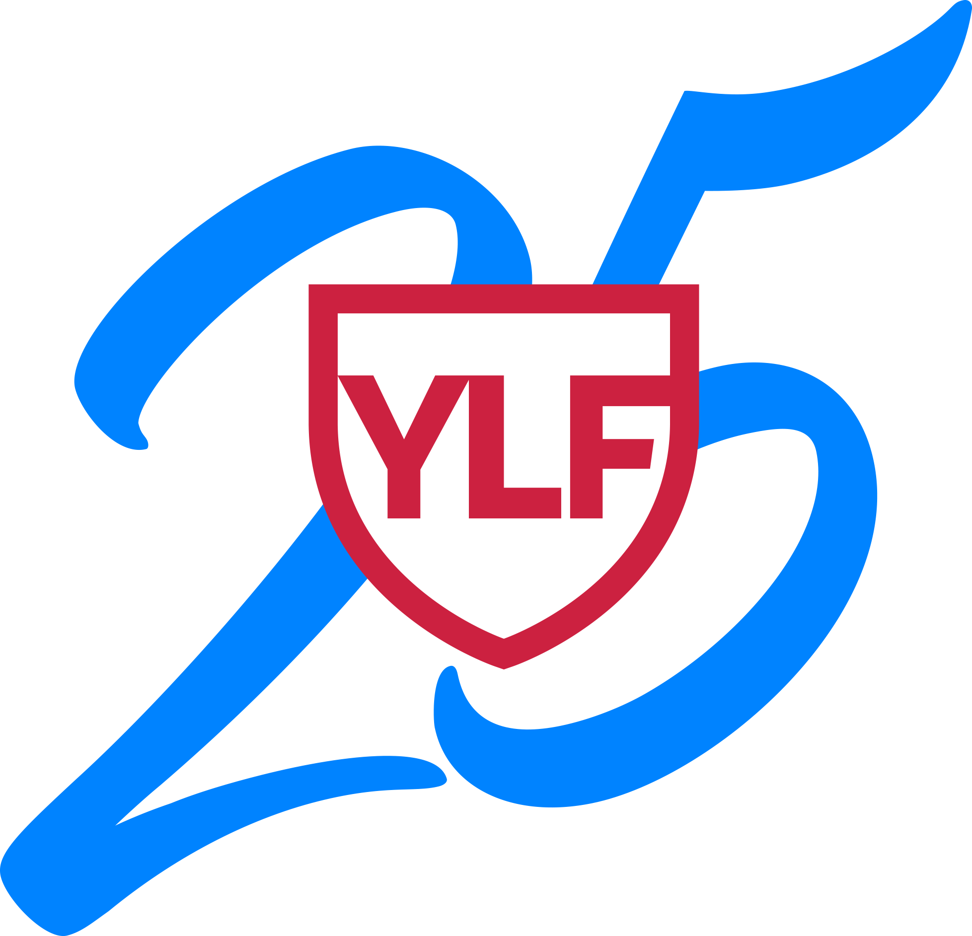 Youth Leadership Foundation 25th Anniversary logo design